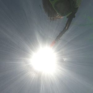 Meet your Posher, Randy